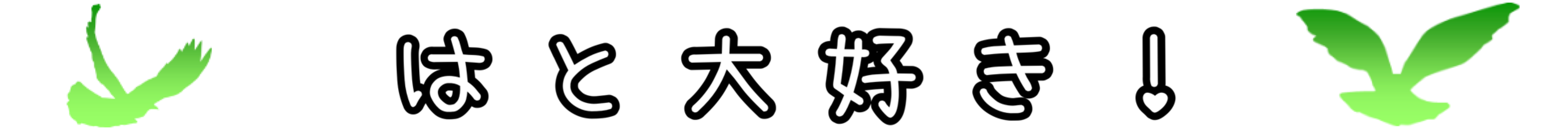 鳩　大好き！